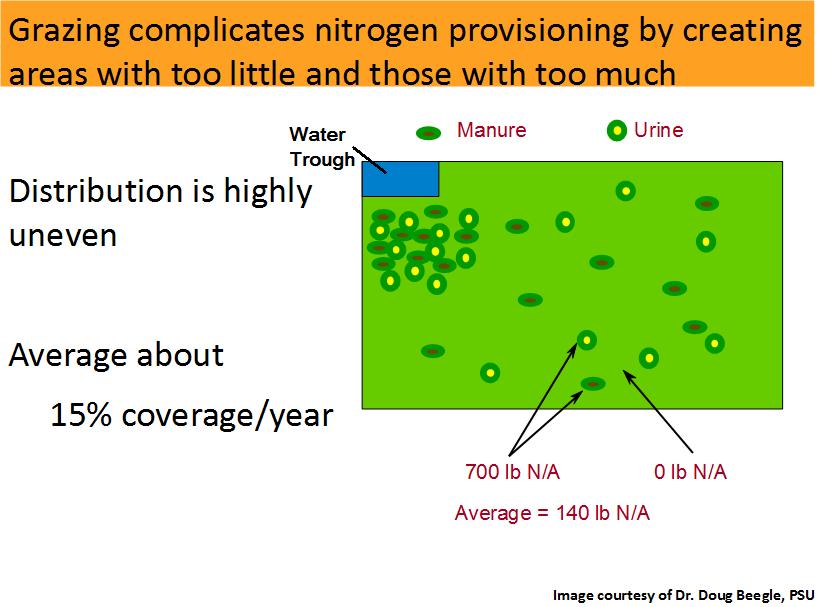 nitrogen
distribution