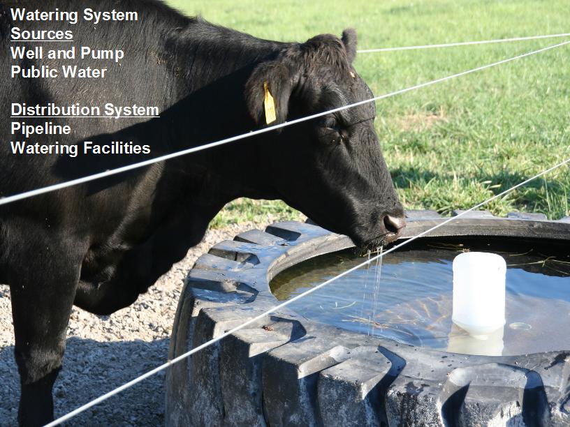 watering system