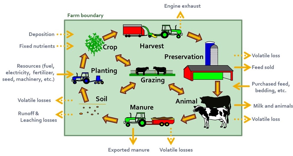 farm and model