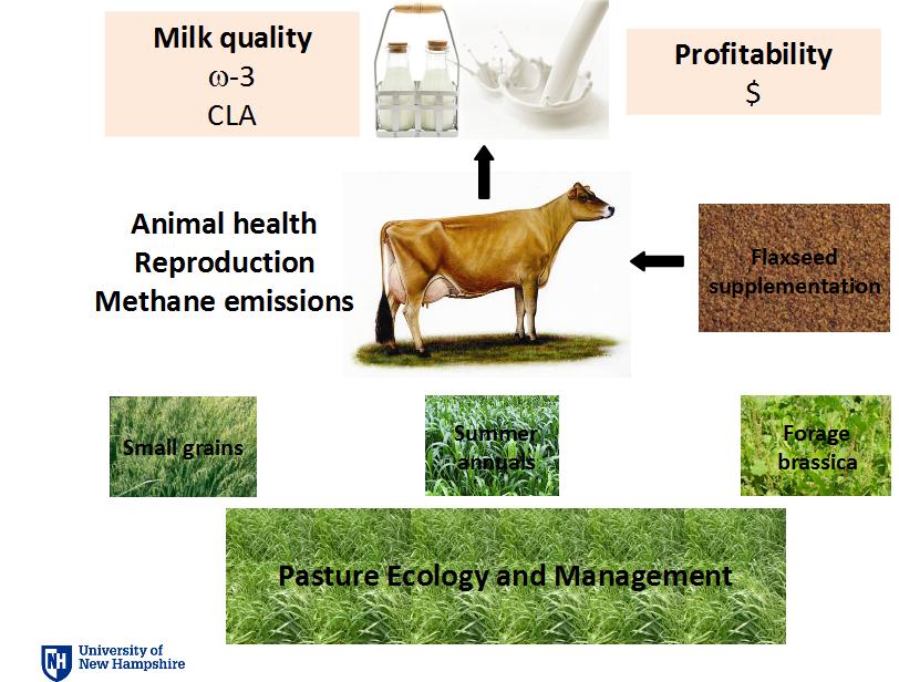 milk quality, profitability, pasture ecology