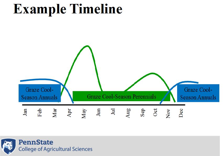 Example timeline 1