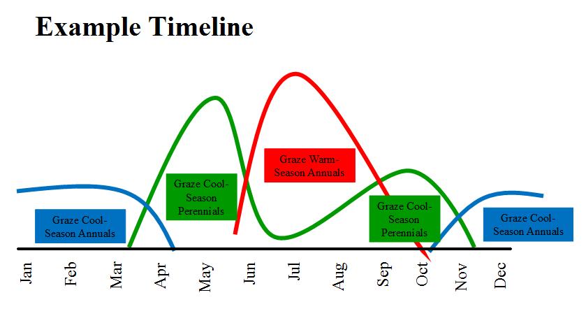 Example timeline 2